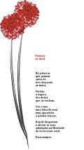 Postais de Poema 25 de Abril