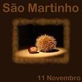 Imagem a enviar no postal: So Martinho