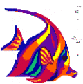 Postais de Peixe colorido