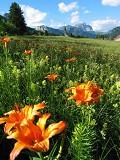 Postais de Primavera Alpes