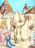 Postais de O Camelo Ideal
