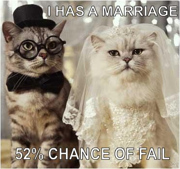Postais de Casamento de Gatos