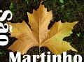 Postais de So Martinho em Flor